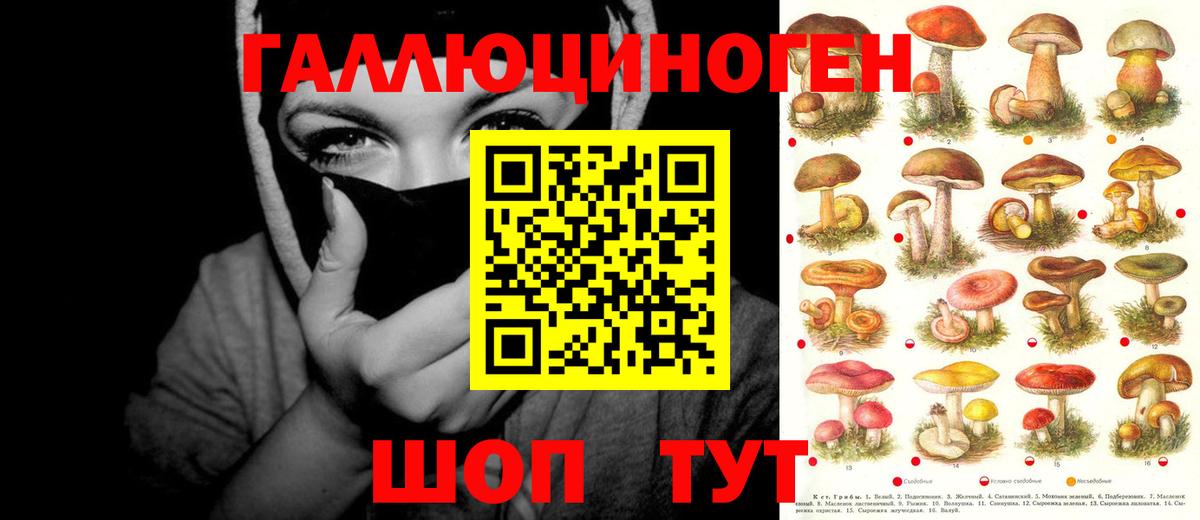 Псилоцибиновые грибы мухоморы Великий Устюг